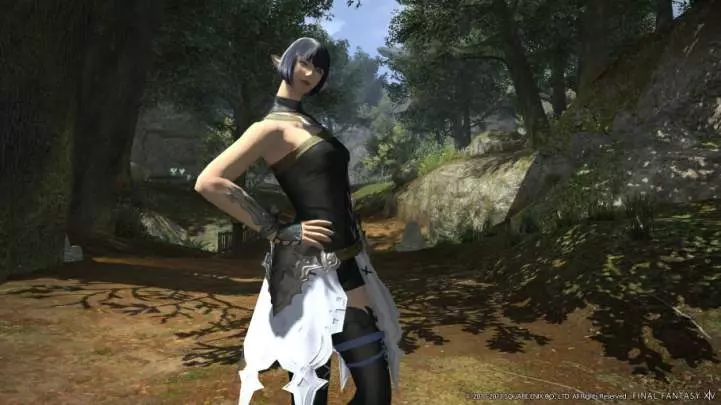 Final Fantasy XIV A Realm Reborn