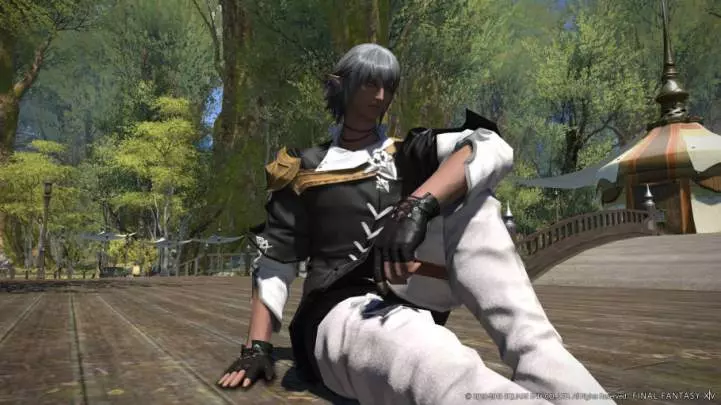 Final Fantasy XIV Online: A Realm Reborn
