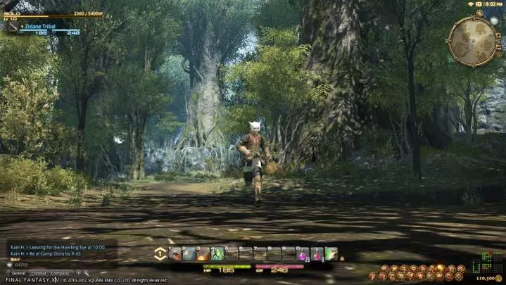 Final Fantasy XIV A Realm Reborn