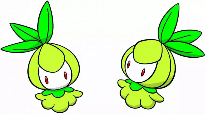 Pokémon Aventura Entre las Teclas - DS