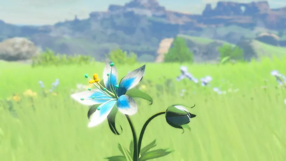 Zelda Breath of the Wild