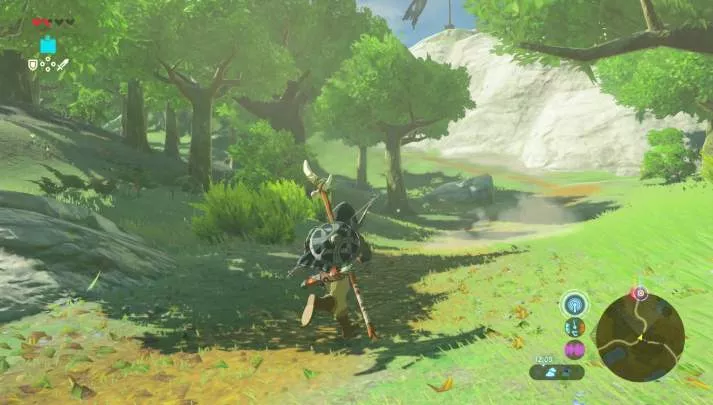 Zelda Breath of the Wild - Nintendo Switch