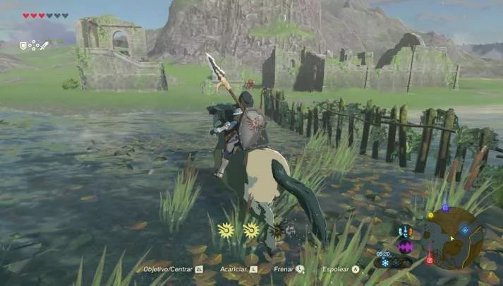 Zelda Breath of the Wild