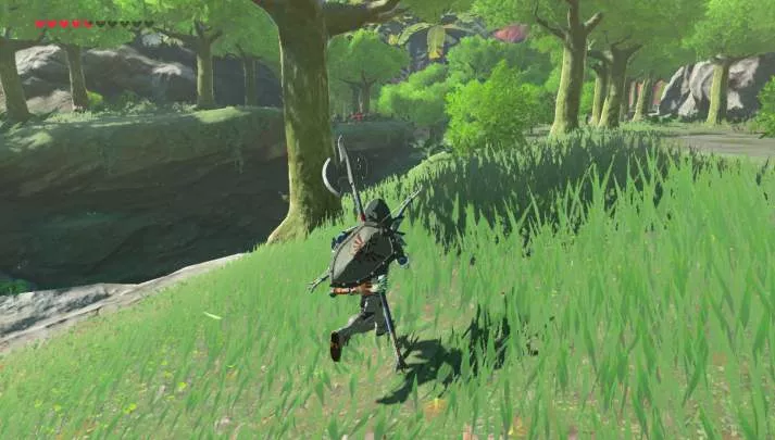 Zelda Breath of the Wild