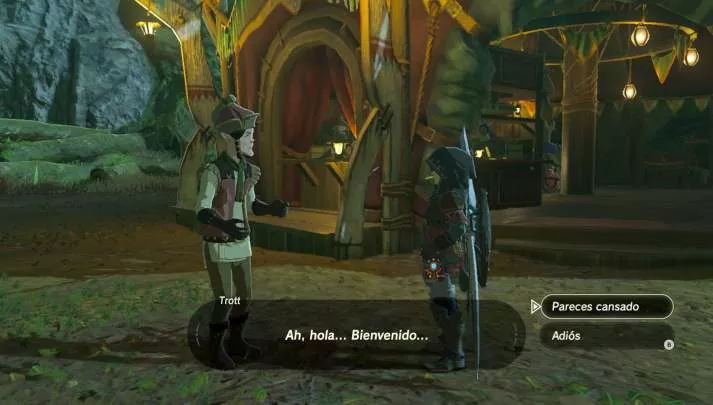 Zelda Breath of the Wild