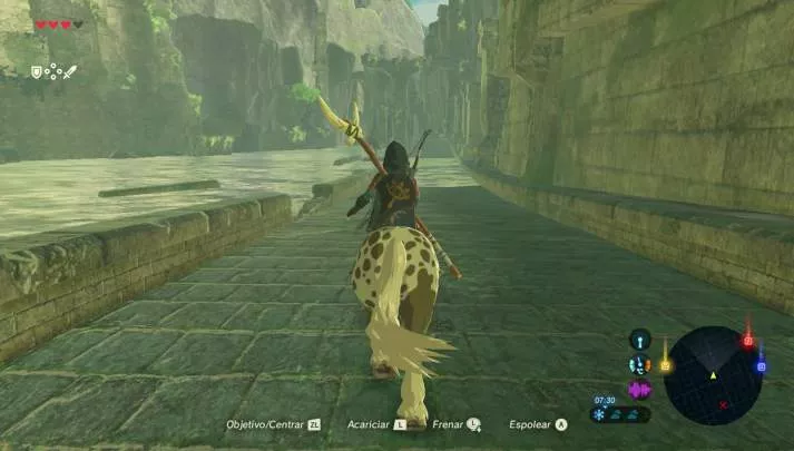 Zelda Breath of the Wild