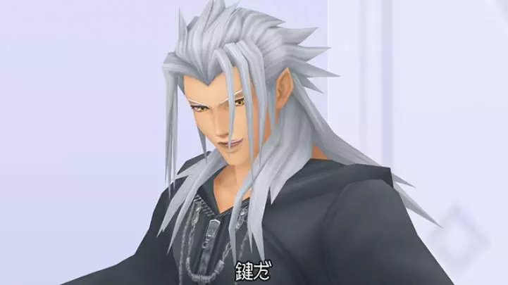 Kingdom Hearts HD 1.5 ReMIX