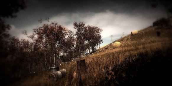 Slender The Arrival análisis