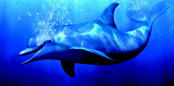 Ecco the Dolphin Ecco the Dolphin
