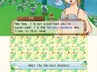 Harvest Moon A New Beginning 