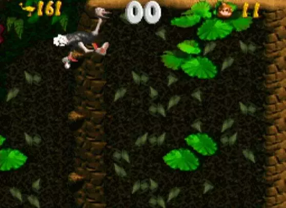 Donkey Kong Country