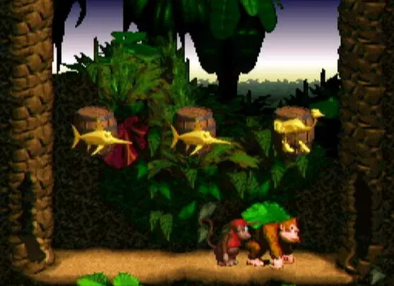 Donkey Kong Country