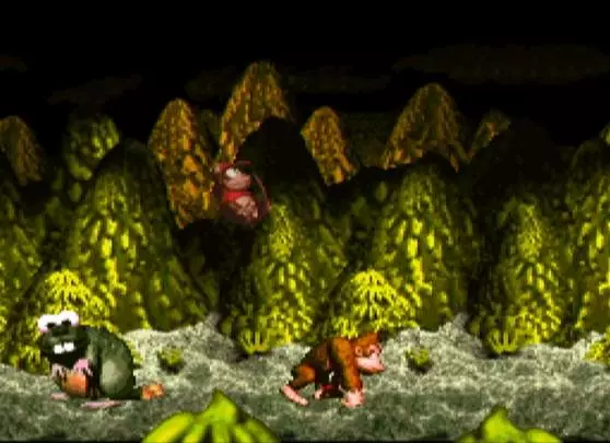 Donkey Kong Country
