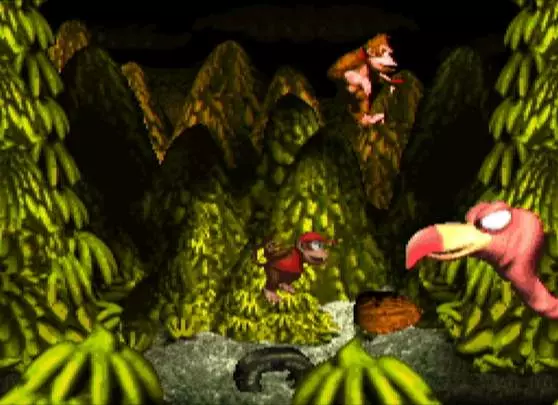 Donkey Kong Country