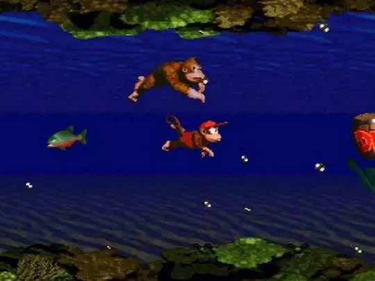 Donkey Kong Country