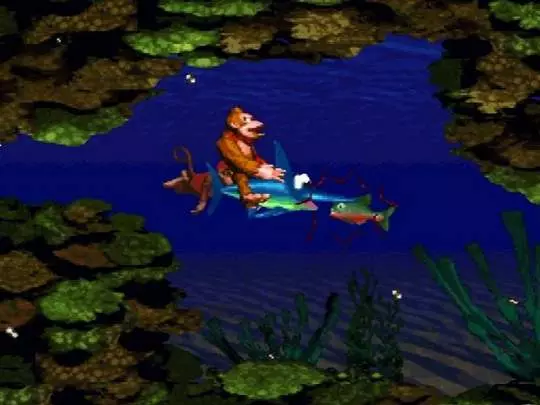 Donkey Kong Country