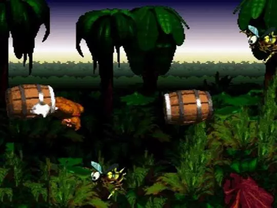 Donkey Kong Country
