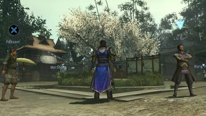Dynasty Warriors 8