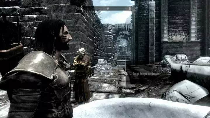 The Elder Scrolls V: Skyrim - Dragonborn