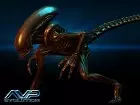 Aliens vs Predator Evolution - Imagen