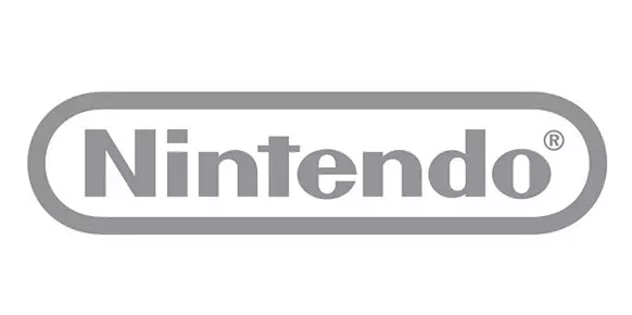 Nintendo Network Nintendo Network