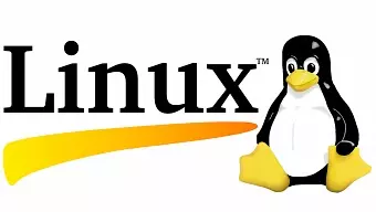 Steam añade Proton para llevar los juegos de Windows a Linux