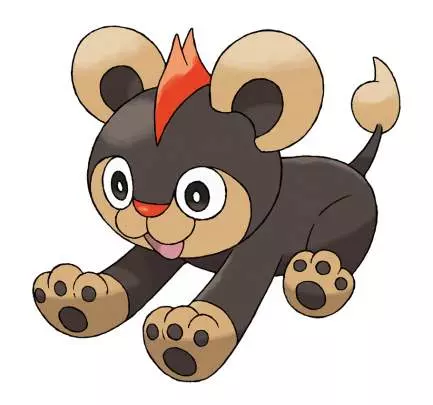 Pokémon X / Y - 3DS