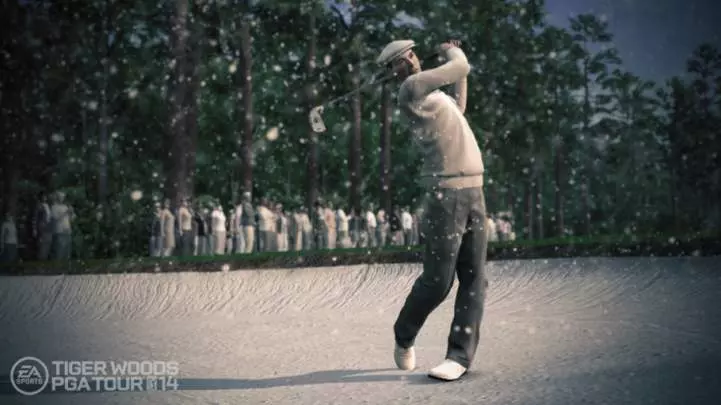 Tiger Woods PGA Tour 14