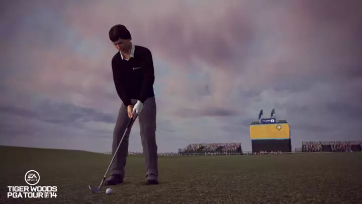 Tiger Woods PGA Tour 14