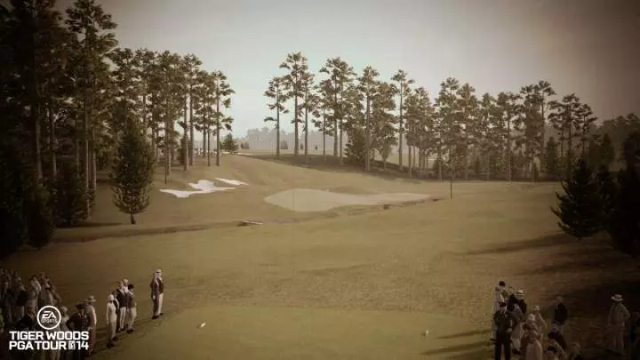 Tiger Woods PGA Tour 14