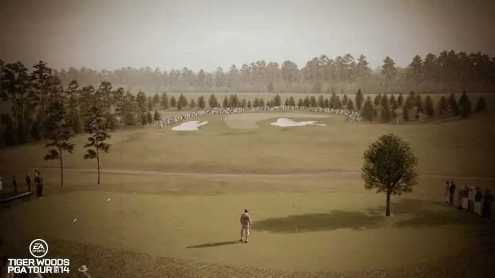 Tiger Woods PGA Tour 14