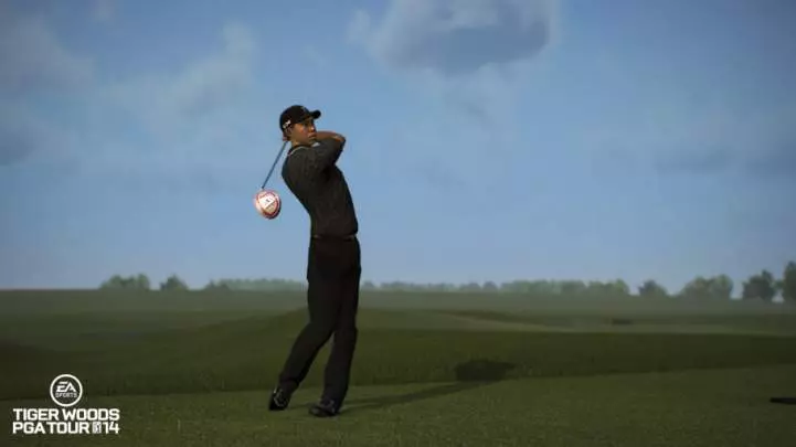 Tiger Woods PGA Tour 14