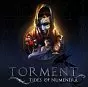 Torment: Tides of Numenera Mac
