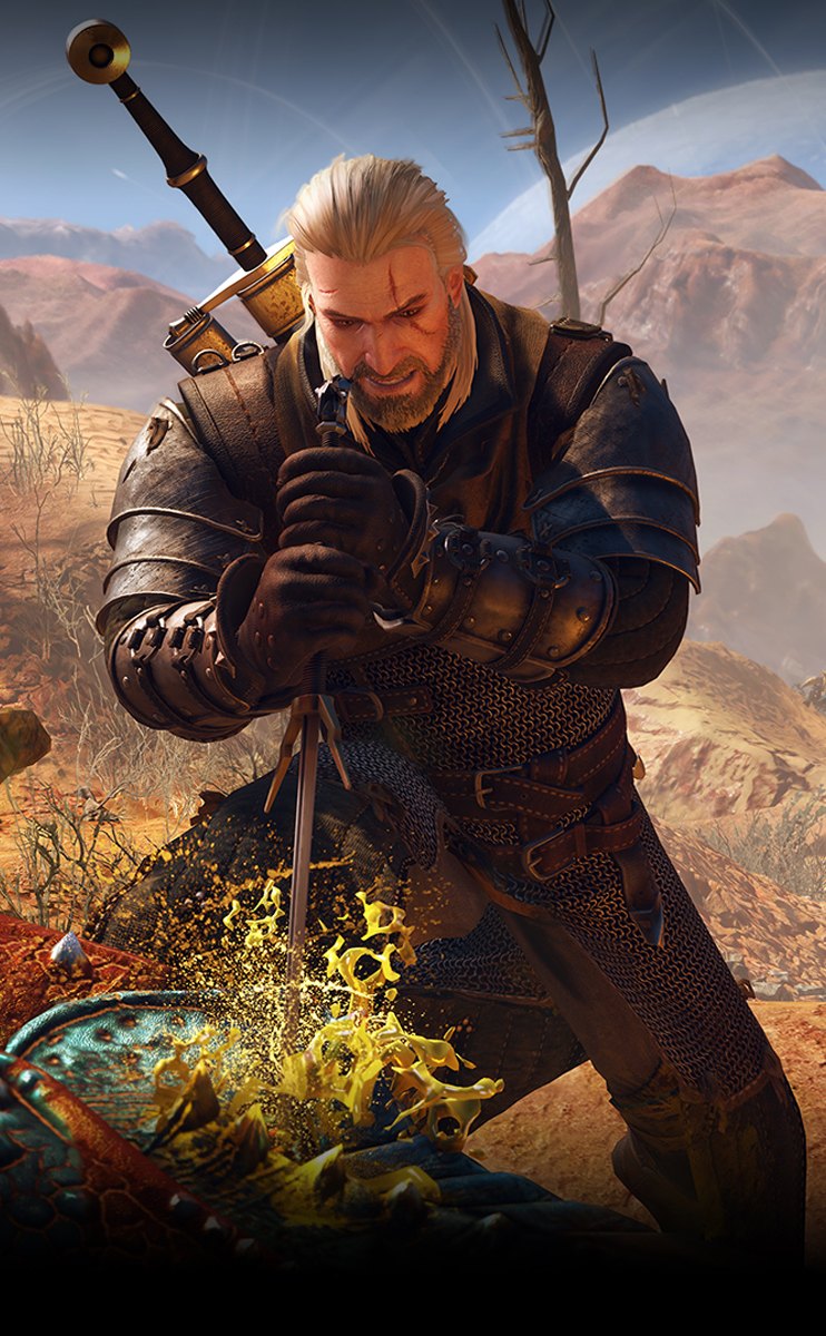 The Witcher 3 Wild Hunt
