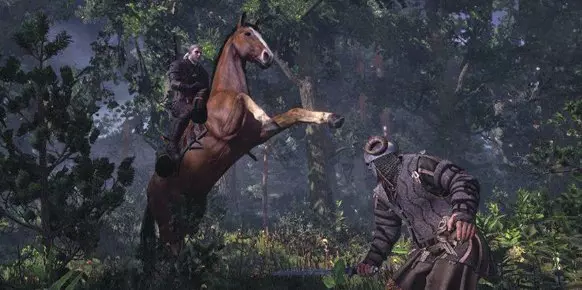 The Witcher 3 Wild Hunt
