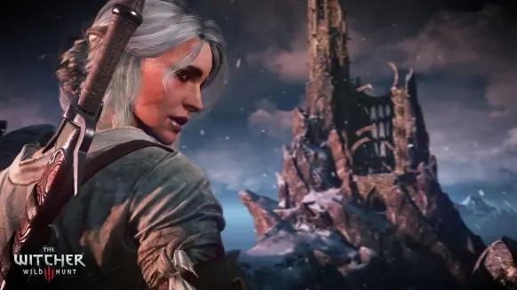 The Witcher 3 Wild Hunt PC