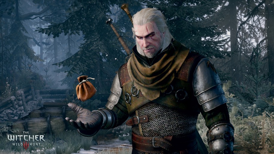 The Witcher 3 Wild Hunt