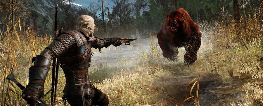 The Witcher 3 Wild Hunt