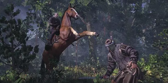 The Witcher 3: Wild Hunt The Witcher 3: Wild Hunt