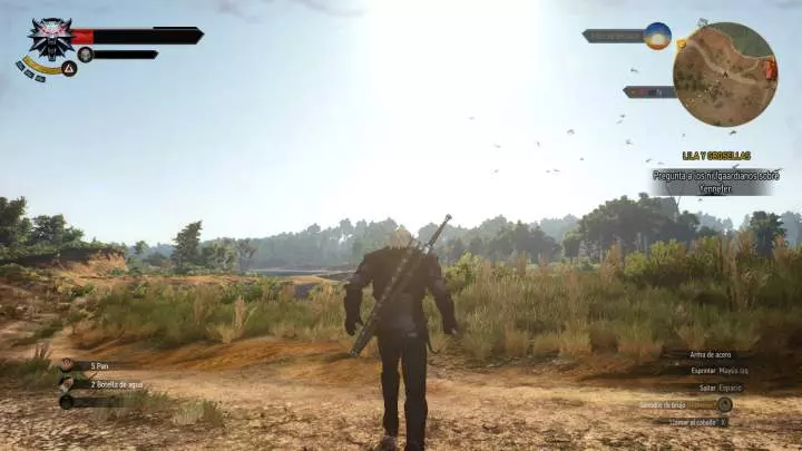 The Witcher 3 Wild Hunt