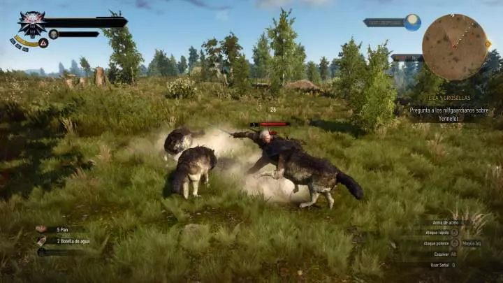 The Witcher 3 Wild Hunt - PC