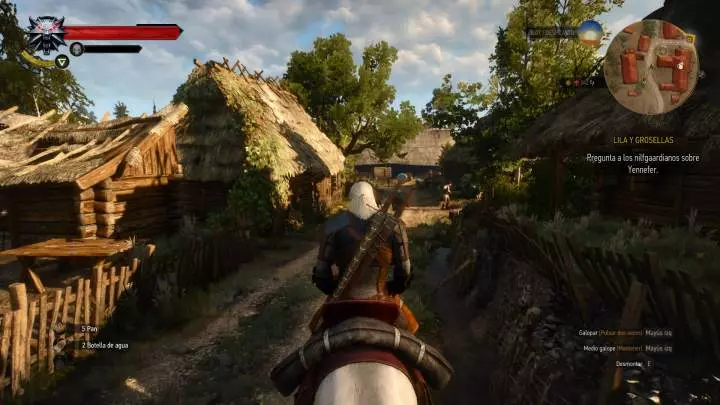The Witcher 3 Wild Hunt - PC