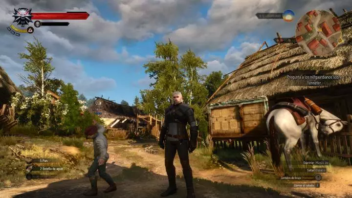 Witcher 3