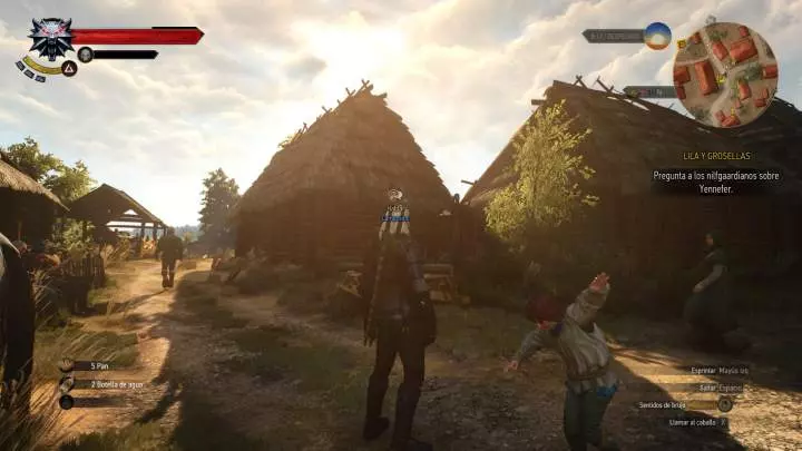 The Witcher 3 Wild Hunt