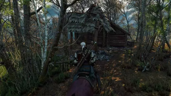 The Witcher 3 Wild Hunt - PC