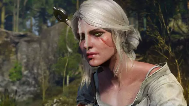 The Witcher 3 Wild Hunt