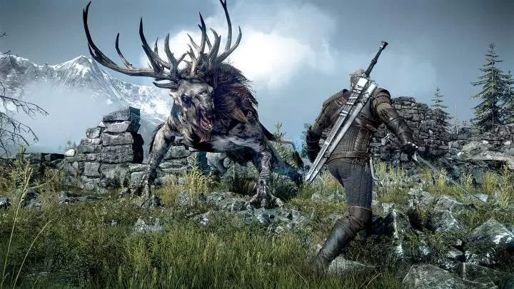 The Witcher 3 Wild Hunt - PC