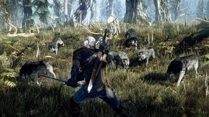 The Witcher 3 Wild Hunt - PC