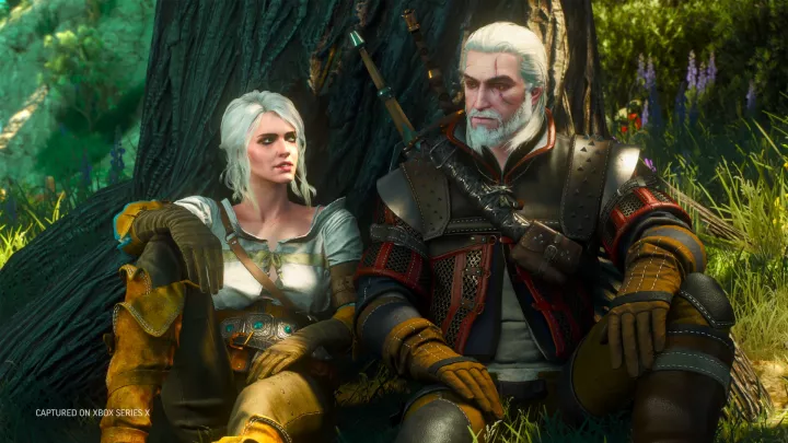 The Witcher 3 Wild Hunt - PC