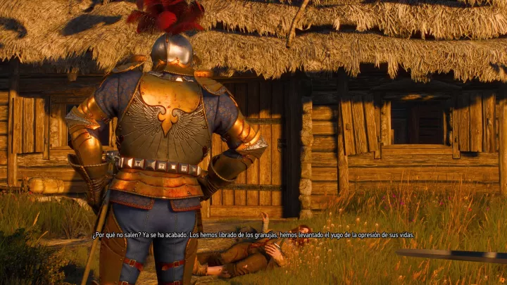 The Witcher 3 Wild Hunt - PC